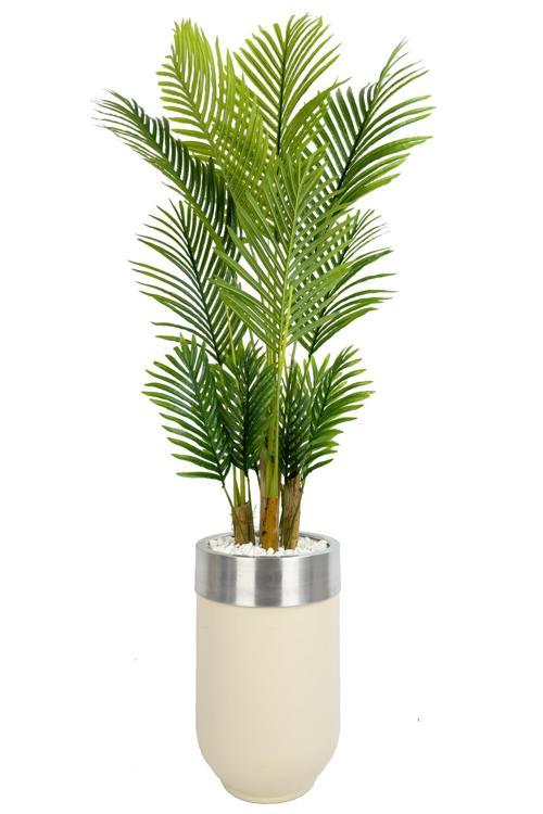 Areka Palmiyesi 160Cm Krem Gümüş Metal Darbuka Saksıda