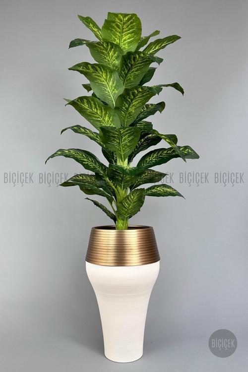 190 Cm Difenbahya Bitkisi Cleopatra Saksıda Krem Gold