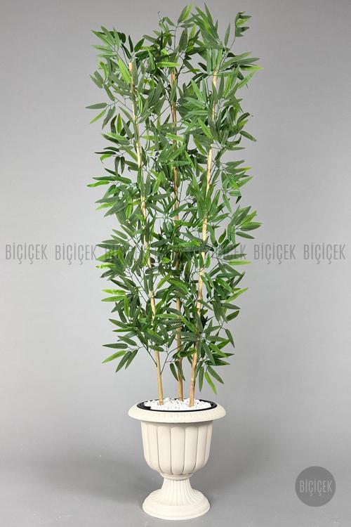 Yapay Bambu Ağacı 170Cm Yoğun Yapraklı Kırık Beyaz Renk Nergis Saksıda