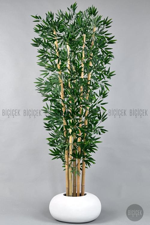 Zen Bambu Ağacı 220-240 Cm Fiber Saksıda