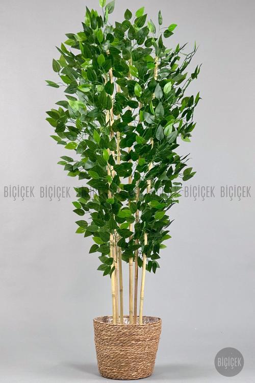 Yapay Benjamin Ağacı 170Cm Hasır Saksıda