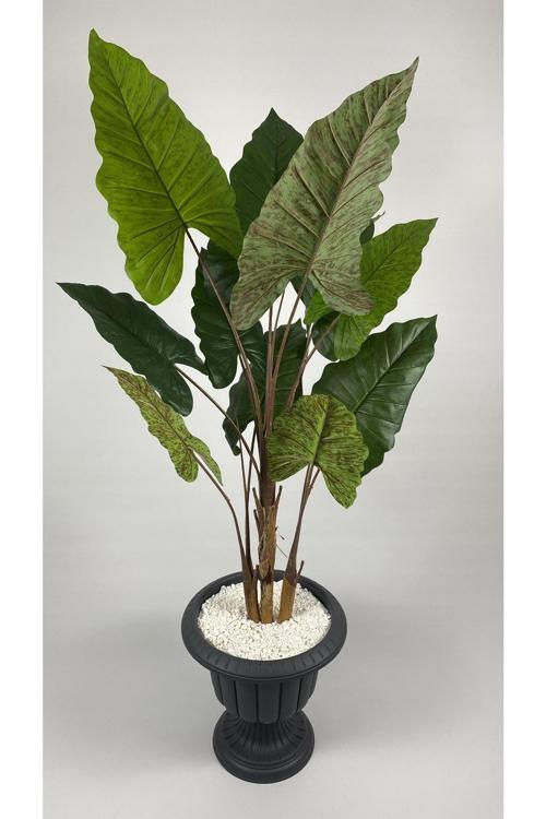 Difenbahya 200 Cm Yapay Bitki Xl Boy