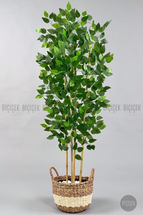 Yapay Benjamin Ağacı 140Cm Hasır Saksıda
