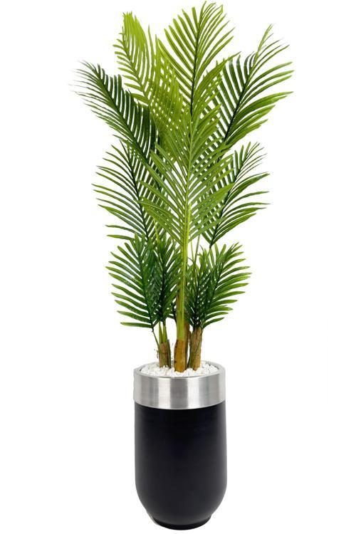 Areka Palmiyesi 160Cm Siyah Gümüş Metal Darbuka Saksıda