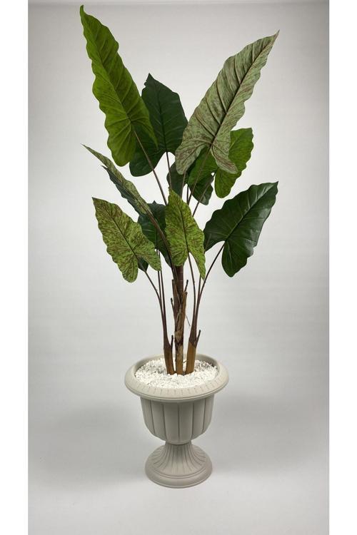 Difenbahya 200 Cm Yapay Bitki Xl Boy