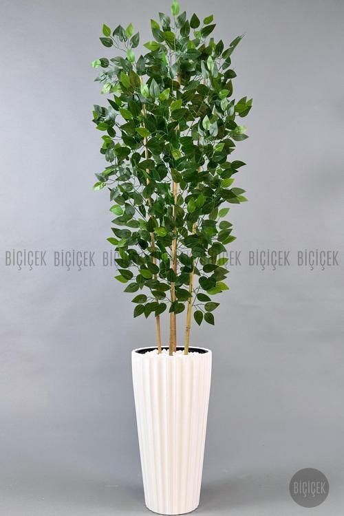 Yapay Bambu Ve Benjamin 4 Dal Yoğun Yapraklı 180 Cm