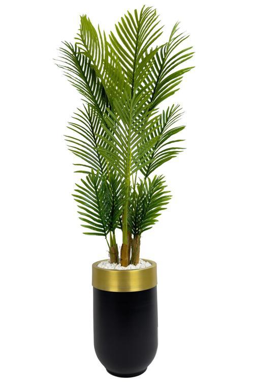 Areka Palmiyesi 160Cm Siyah Gold Metal Darbuka Saksıda