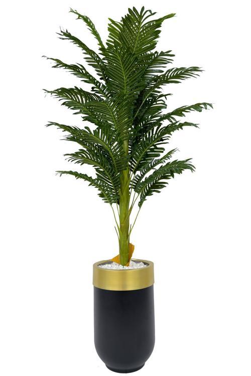 Areka Palmiyesi 170Cm Metal Siyah Gold Darbuka Saksıda