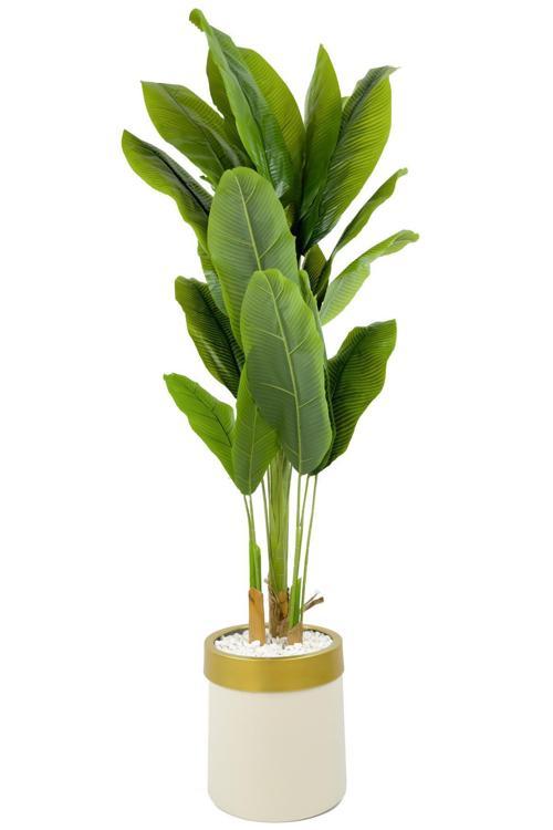 Muz Ağacı 200Cm Krem Gold Metal Saksıda