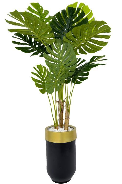 Monstera Ağacı 170Cm Siyah Gold Metal Darbuka Saksıda
