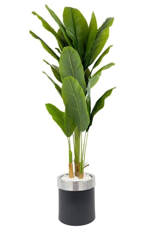 Muz Ağacı 200Cm Siyah Gümüş Metal Saksıda