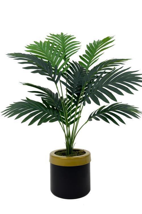 Areka Palmiyesi 75 Cm Siyah Gold Metal Saksıda