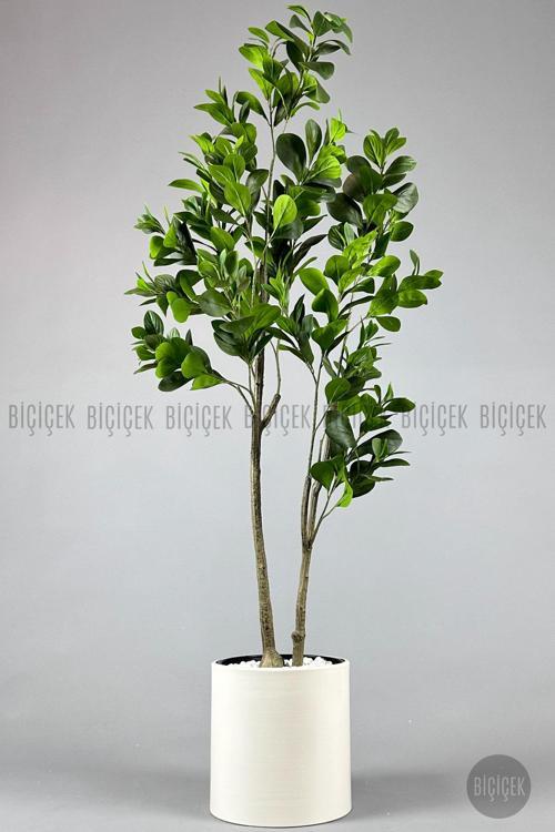 Yapay Manolya Ağacı 150-180Cm