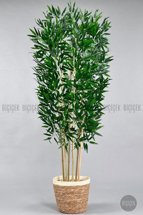 Yapay Bambu Ağacı 170Cm Siyah Hasır Saksıda