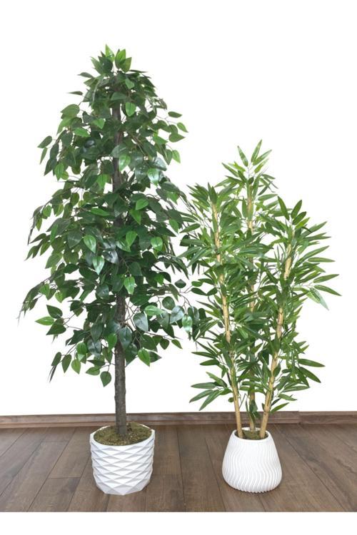 Yapay Benjamin Ağacı 160Cm Ve Yapay Bambu Ağacı 125Cm Yoğun Yapraklı