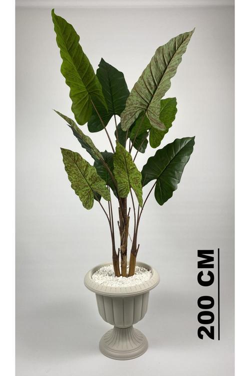 Yapay Ağaç Starliçe Kahverengi Difenbahya Bambu Gövdeli 240Cm Büyük Boy Kırıkbeyaz Renk Nergis Saksı