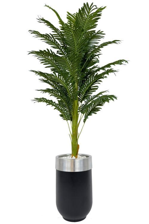 Areka Palmiyesi 170Cm Metal Siyah Gümüş Darbuka Saksıda