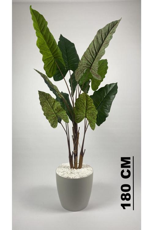 Yapay Ağaç Starliçe Kahverengi Difenbahya Bambu Gövdeli 220Cm Büyük Boy Kırıkbeyaz Renk Yakut Saksı