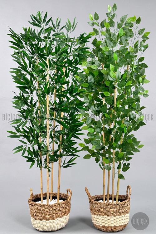 140 Cm Yapay Bambu&Benjamin Ağacı İkiliset Hasır Saksıda