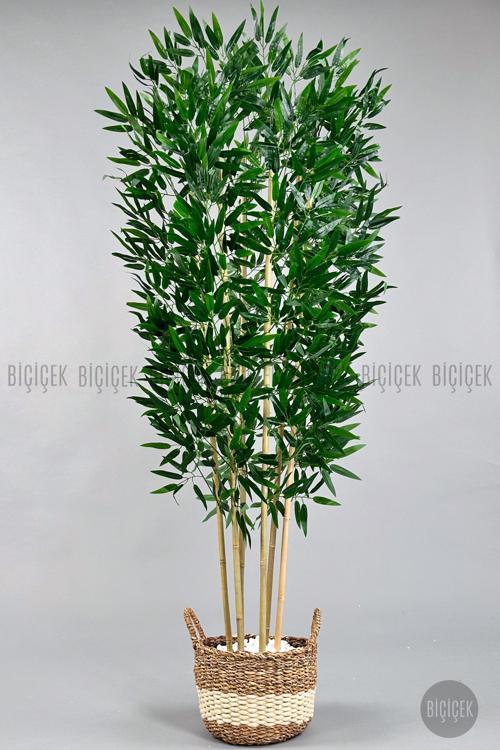 Yapay Bambu Ağacı 170Cm Krem Hasır Saksıda