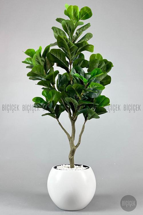 Keman Yapraklı Kauçuk Bitkisi Fiddle Lyrata Küre Saksı 150 Cm