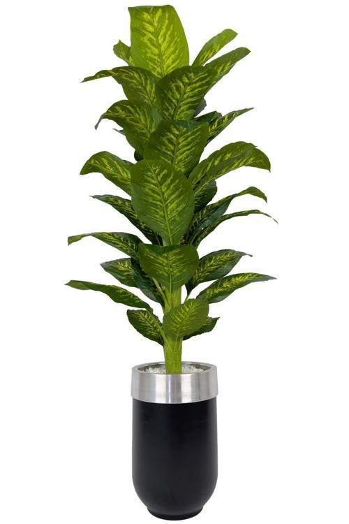 Difenbahya 170Cm Metal Siyah Gümüş Darbuka Saksıda