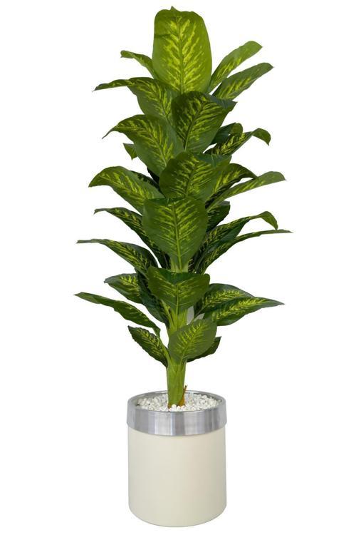 Difenbahya Ağacı 160Cm Krem Gümüş Metal Saksıda