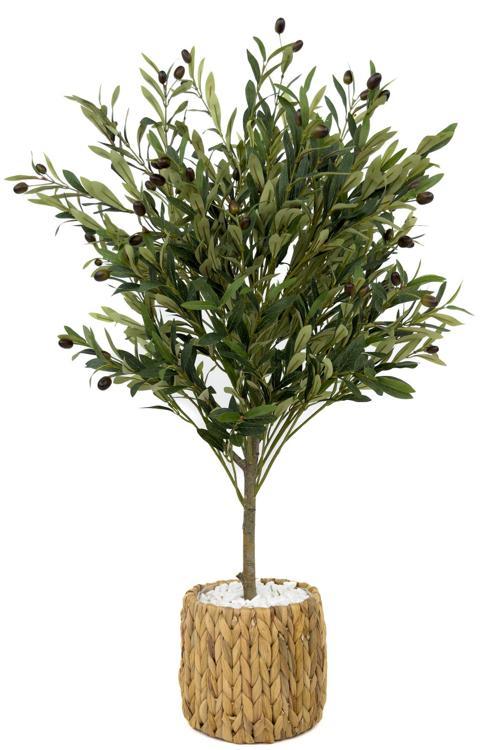 Zeytin Ağacı 100 Cm Hasır Bohem2 Saksıda