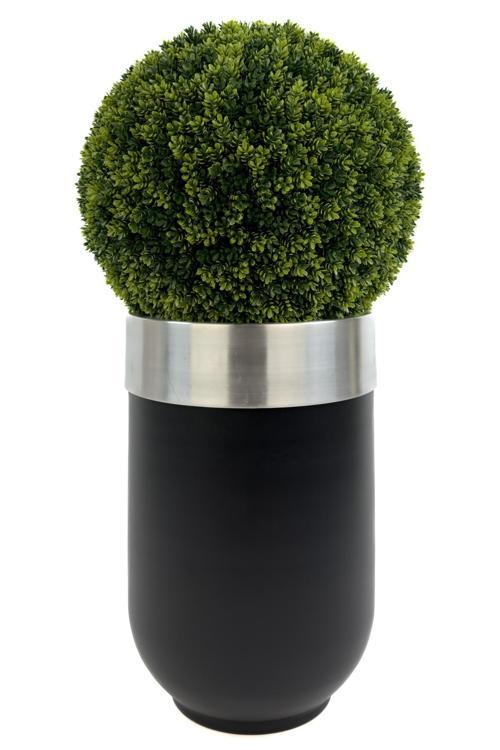 Şimşir Ağacı 90Cm Siyah Gümüş Darbuka Saksıda