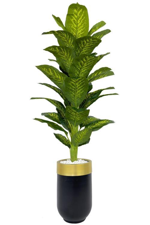 Difenbahya 170Cm Metal Siyah Gold Darbuka Saksıda