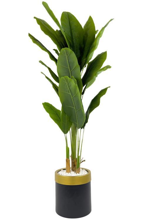 Muz Ağacı 200Cm Siyah Gold Metal Saksıda