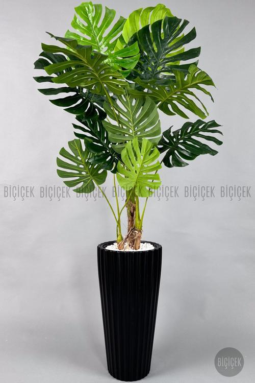 Monstera Ağacı 160-200 Cm Bambu Gövde