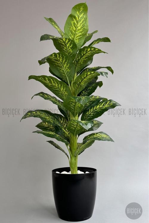 Yapay Ağaç Difenbahya Bambu Gövdeli 180Cm Büyük Boy Siyah Renk Yakut Saksıda