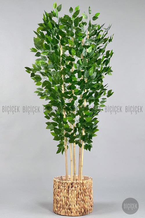 Yapay Benjamin Ağacı 170Cm Hasır Bohem1 Saksıda