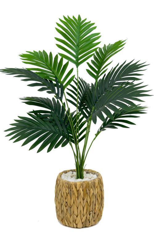 Areka Palmiyesi 70 Cm Hasır Saksıda