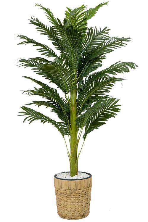 Areka Palmiyesi 140Cm Hasır Saksıda Fejka