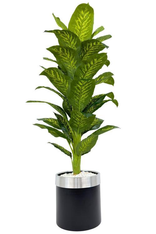 Difenbahya Ağacı 160Cm Siyah Gümüş Metal Saksıda
