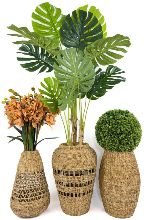Luxury Üçlü Set Monstera Orkide Ve Şimşir Bitkisi