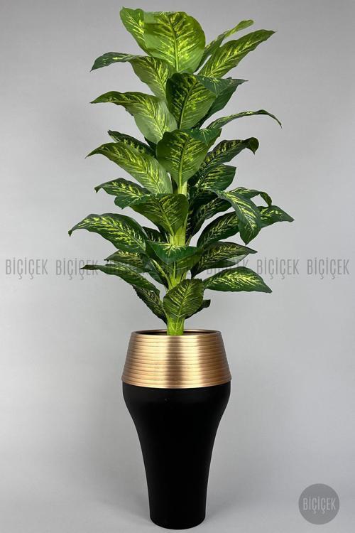 190 Cm Difenbahya Bitkisi Cleopatra Saksıda Siyah Gold