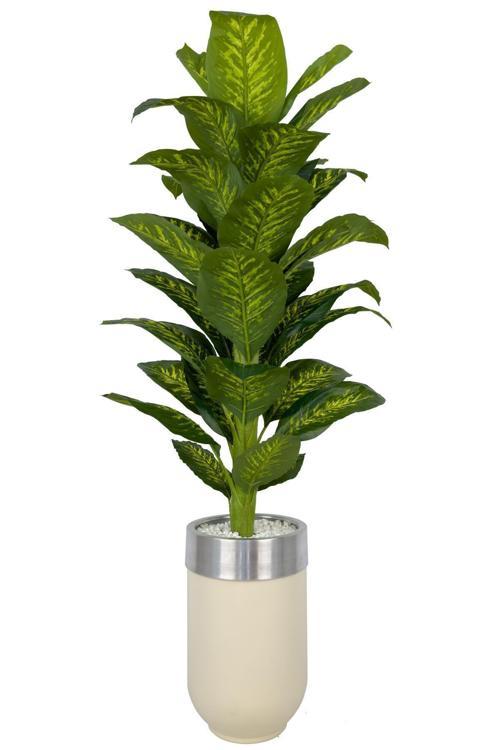 Difenbahya 170Cm Metal Krem Gümüş Darbuka Saksıda