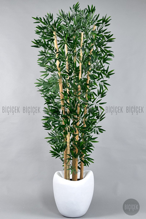 Zen Bambu Ağacı 220-240 Cm Fiber Saksıda