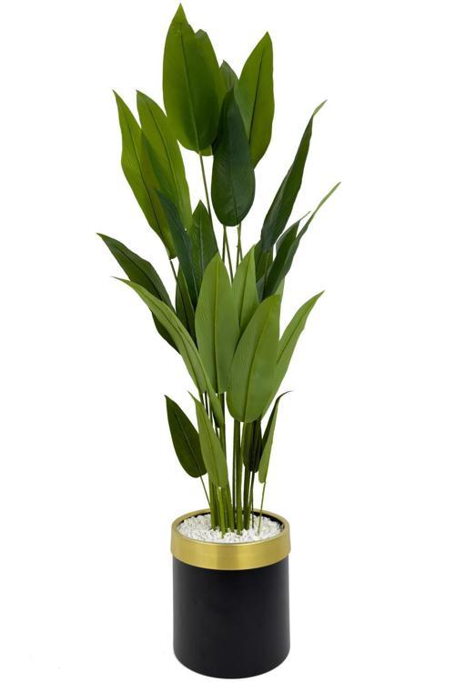 Starliçe 220Cm Metal Siyah Gold Saksıda