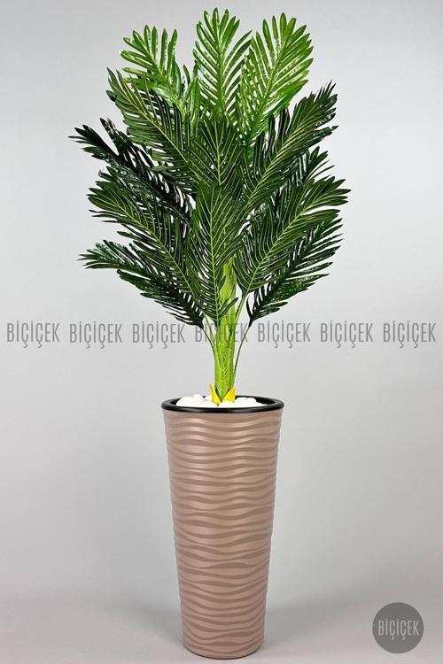 150Cm Areka Ağacı Kumsal Saksıda