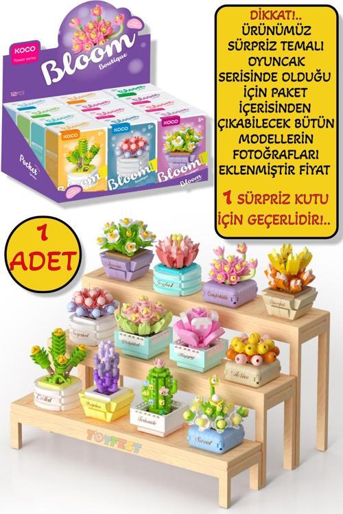 Sürpriz Saksı Çiçekleri Sukulent Serisi 3D Puzzle - 1 ADET