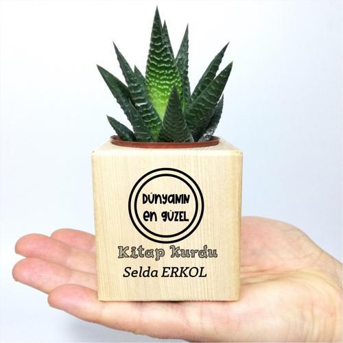 Kişiye Özel İsimli Ahşap Küp Saksı ve Haworthia Sukulent - MK02