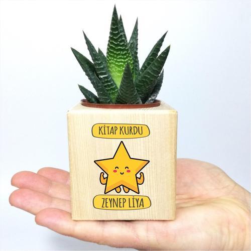 Kişiye Özel İsim Kitap Kurdu Temalı Küp Saksı ve Haworthia Sukulent - MK05