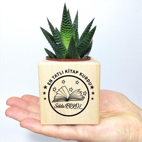 Kişiye Özel İsimli Kitap Temalı Küp Saksı ve Haworthia Sukulent - MK08