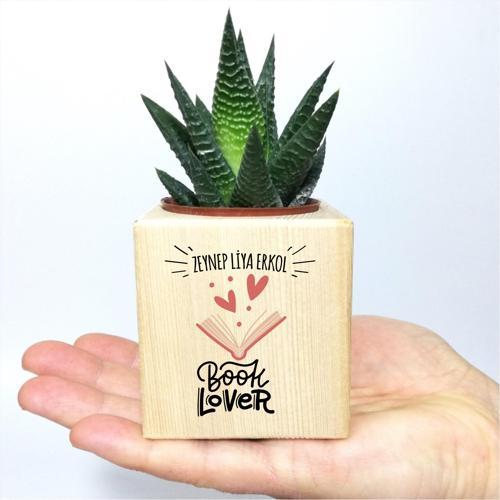 Kişiye Özel Book Lover Temalı Ahşap Küp Saksı ve Haworthia Sukulent - MK04