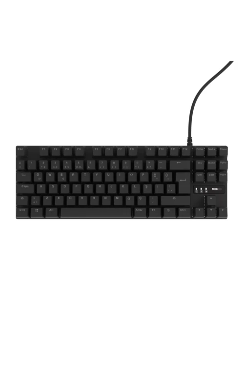 Gaming HK410M Mekanik Mavi Switch 19 Mod RGB Kablolu Siyah TKL Türkçe Gaming Klavye