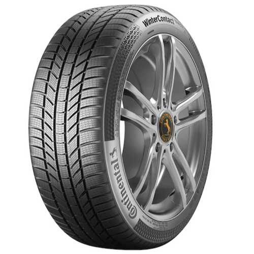 205/55R16 91T WINTER CONTACT TS870
